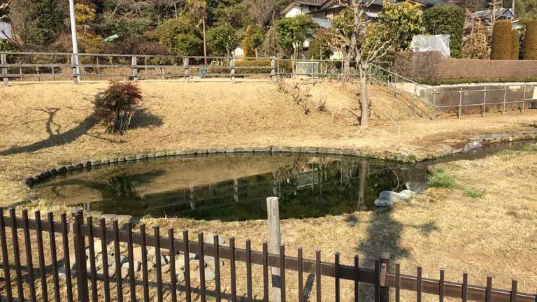 鶴見川源流の泉