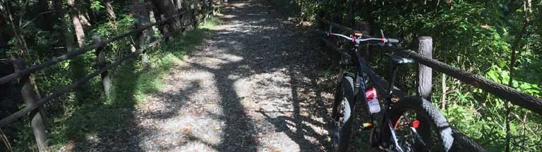 セミファットMTBをチューブレス化してみる