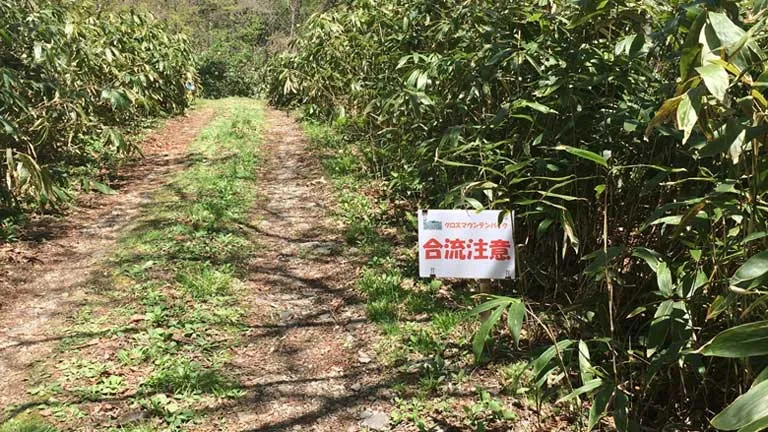 まもなく合流地点